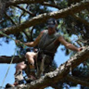 Meet your Posher, Perry